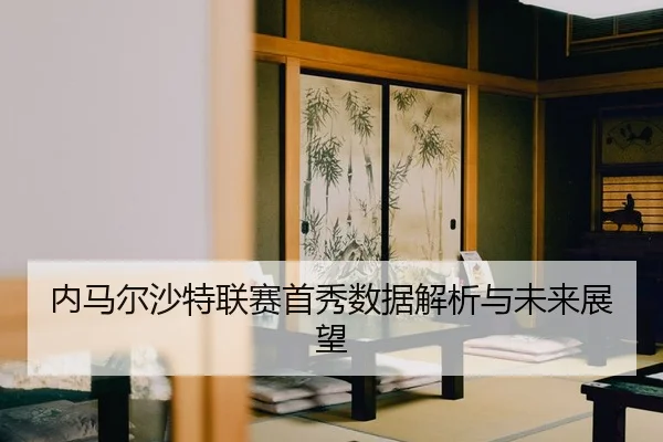 nei-ma-er-sha-te-lian-sai-shou-xiu-shu-ju-jie-xi-yu-wei-lai-zhan-wang-2-979.jpg