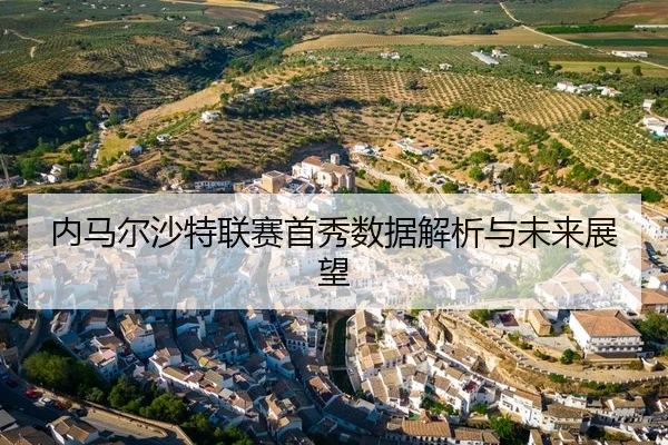 内马尔沙特联赛首秀数据解析与未来展望